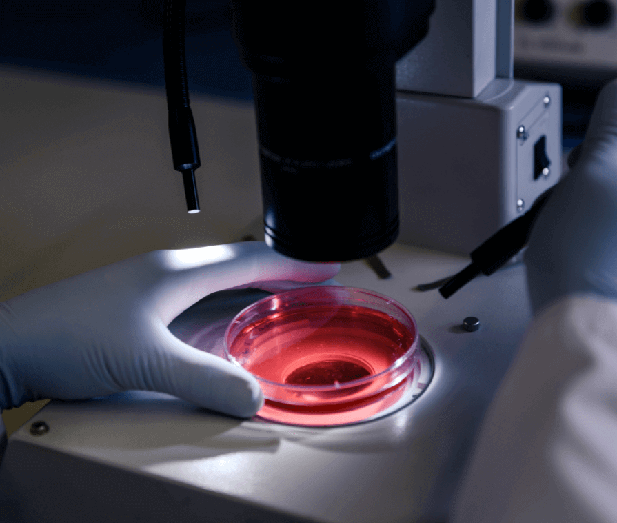 Related Substance/ Impurity Testing