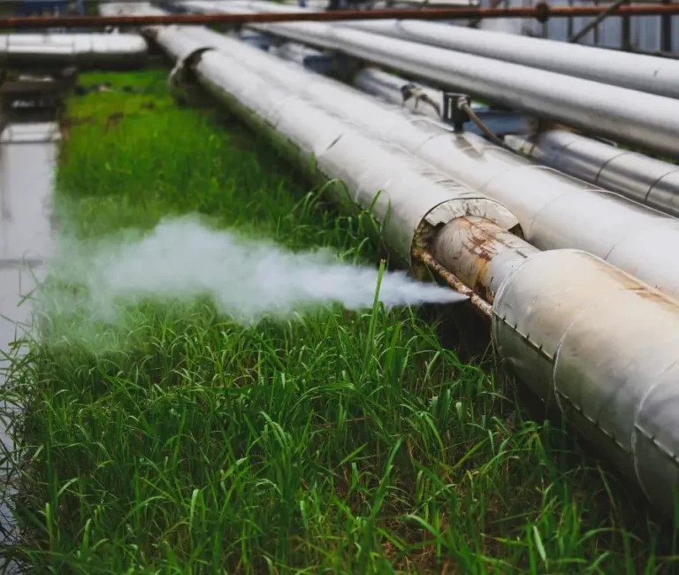 Patent and Proprietary Drugs